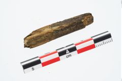 Foto von Holzbruchstücke (NHMW-PRAE-026877)